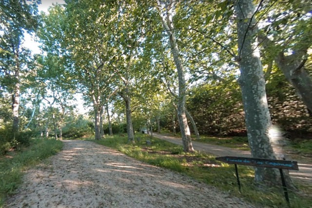 Bosque de La Herrería