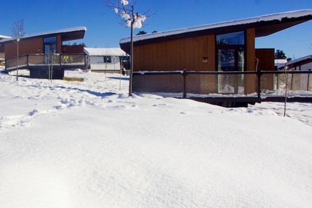 Cabañas en los árboles Monte Holiday Ecoturismo