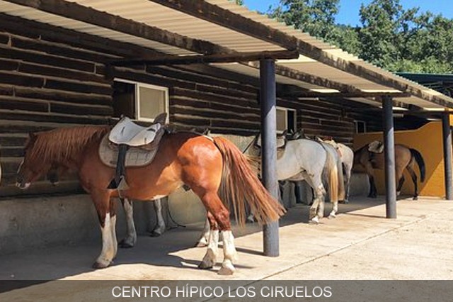 cercedilla próxima a madrid