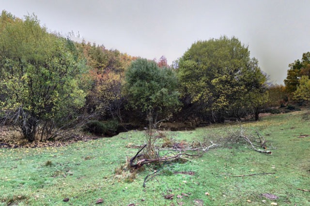 Vista del Hayedo de La Pedrosa