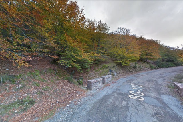 Ruta en Hayedo de La Pedrosa