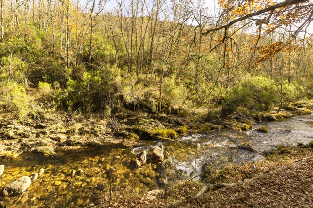 Zona cerca del río en Hayedo de Montejo