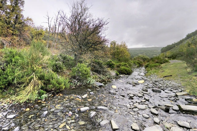 Río en Hayedo de la Tejera Negra
