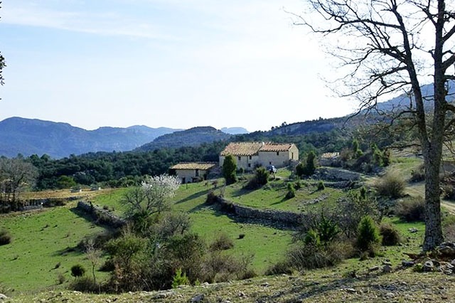 Tipos de parcelas