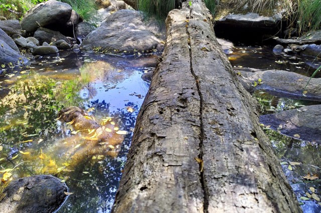 Río Madarquillos O de la Puebla