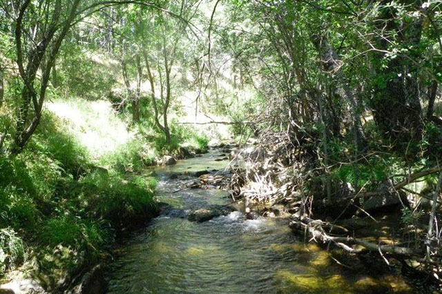 Río Madarquillos O de la Puebla