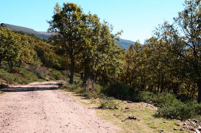 Sendero en Ruta de Calderuelas